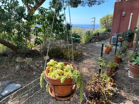 Garden view, Sea view