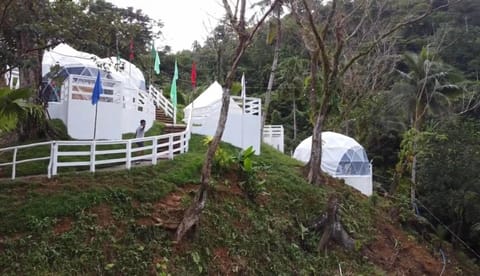 San Miguel River Park (SMRP) Glamping Luxury tent in Bicol