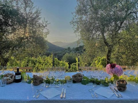 Fully serviced villa with breathtaking views Villa in Lucca