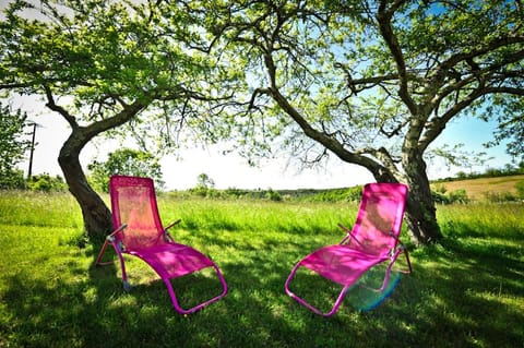 Natural landscape, Garden view, sunbed