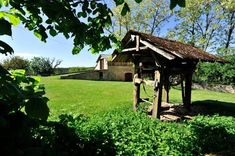 Natural landscape, Garden, Garden view, Landmark view