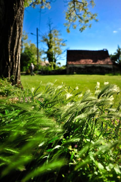 Natural landscape, Garden, Garden view