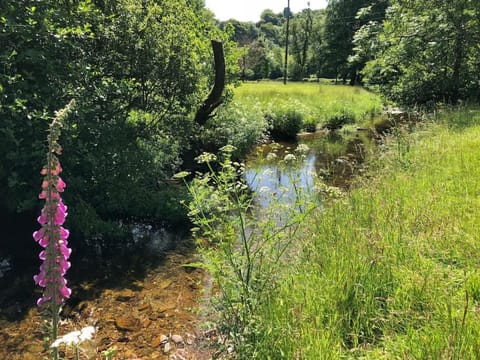 Natural landscape, River view