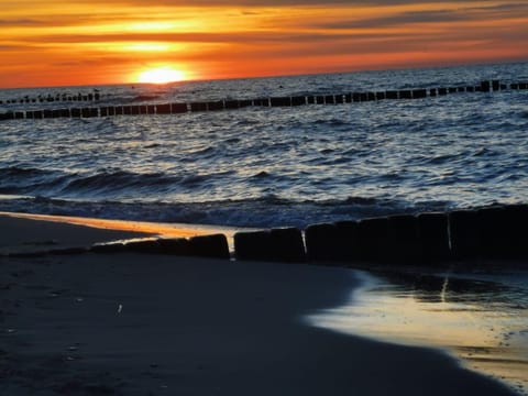 Natural landscape, Beach, Sea view, Sunset