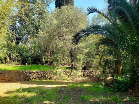 Gite de l'eolienne House in Hyères