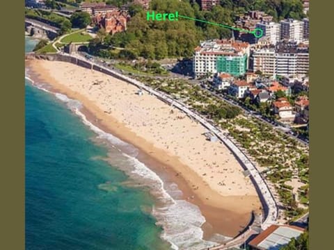 Day, Bird's eye view, Beach