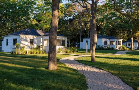 Property building, Natural landscape, Garden