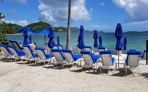 Ritz Carlton Chalet in Virgin Islands (U.S.)