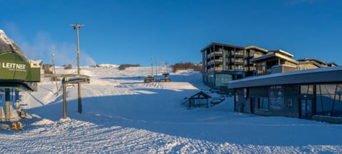 Property building, Winter