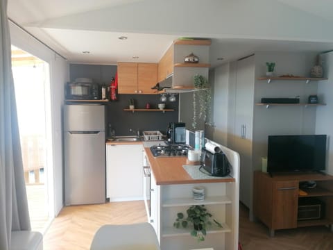 Kitchen or kitchenette, dishwasher, minibar, pet friendly, stove