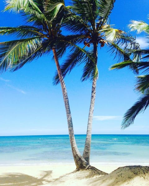 Playa Palmera Beach Resort Apartment hotel in Punta Cana