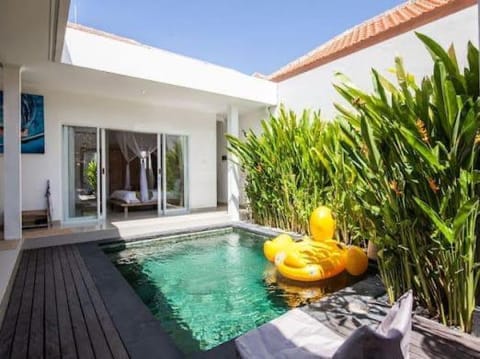 Garden, Pool view, Swimming pool