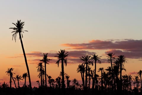 Authentic Family House in the Marrakesh palm grove Villa in Marrakesh