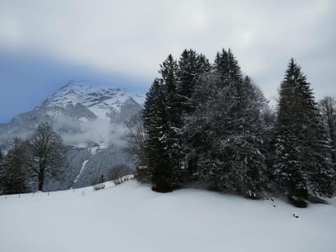 Apartment Chalet Grindelwaldgletscher by Interhome Apartment in Grindelwald