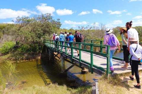 Natural landscape, group of guests