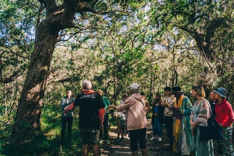 People, Natural landscape