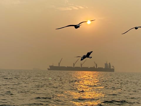 Natural landscape, Sea view, Sunset