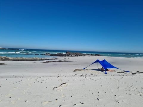 Sunbird House House in Cape Town