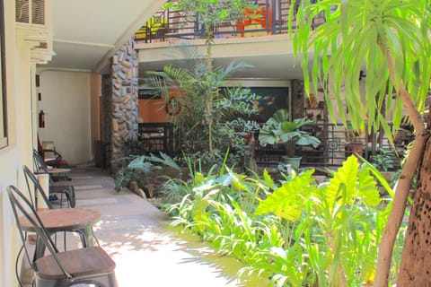 Garden, Garden view, Inner courtyard view