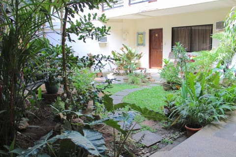 Garden, Garden view, Inner courtyard view