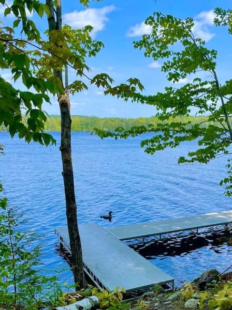 Spring, Natural landscape, Lake view