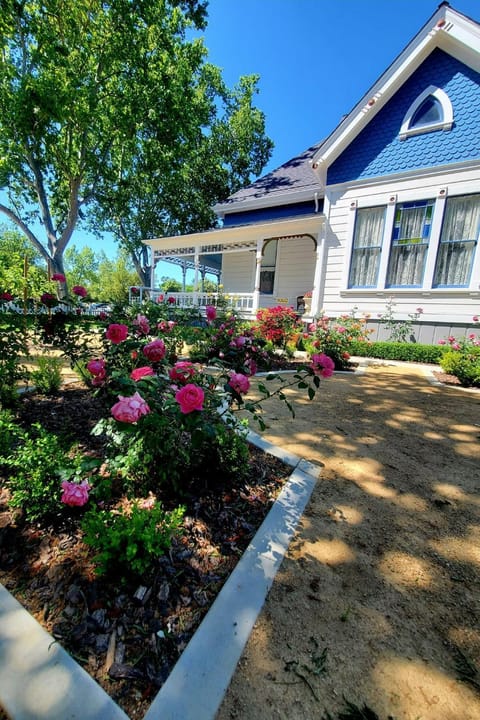 Garden, Balcony/Terrace