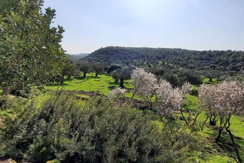 עין הוד בית בטבע עם בריכה שקט נוף מדהים להר ואדי והים Chalet in Haifa District