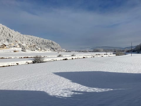 Day, Natural landscape, Winter