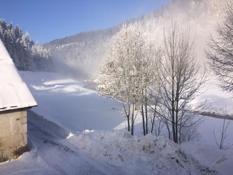 Day, Natural landscape, Winter