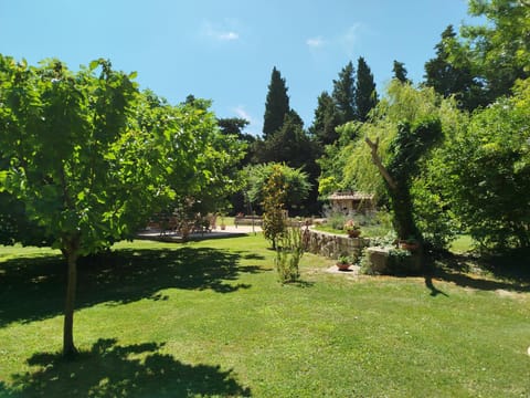 BBQ facilities, Garden