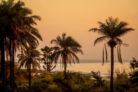 Mansa Musso Treehouse Resort Nature lodge in Senegal