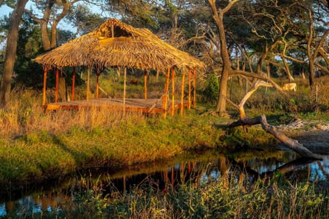 Mansa Musso Treehouse Resort Nature lodge in Senegal