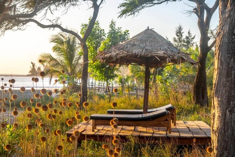 Mansa Musso Treehouse Resort Nature lodge in Senegal