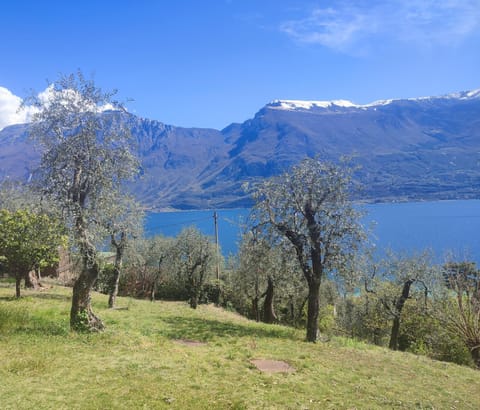 Appartamenti Helios Apartment in Limone Sul Garda