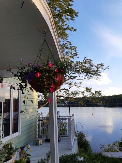 Oceanfront Garden Cottage - private cove beach Bed and Breakfast in Halifax