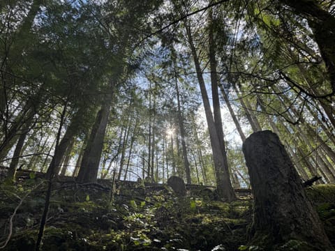 Natural landscape, Hiking