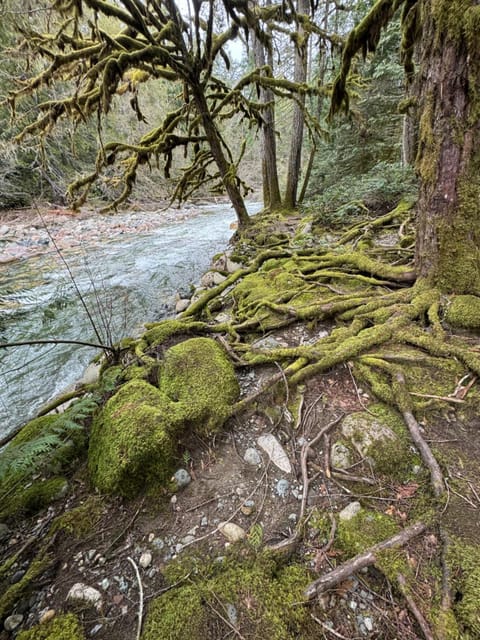 Nearby landmark, Natural landscape, River view