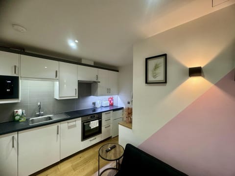 Modern 1 Bedroom self contained apartment Appartement in Welwyn Garden City