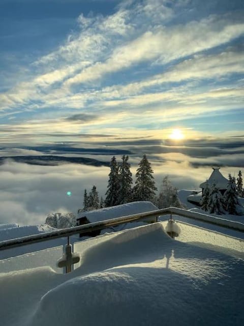 Cosy apartment with ski in/out Apartment in Viken, Norway