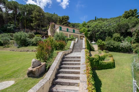 Day, Natural landscape, Garden, Garden view