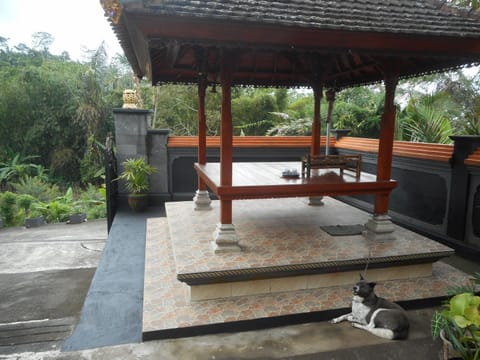 Kadek Homestay Vacation rental in Selat