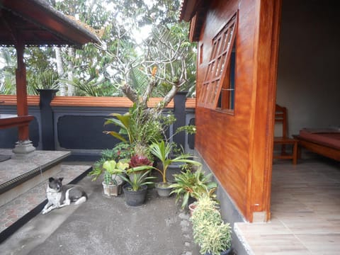 Kadek Homestay Vacation rental in Selat