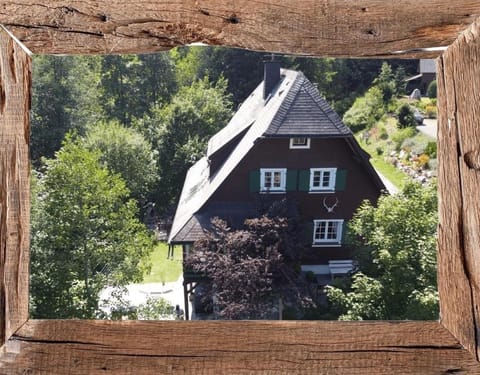 Schwarzwaldhaus St Blasien, direkt am Bach House in Schluchsee