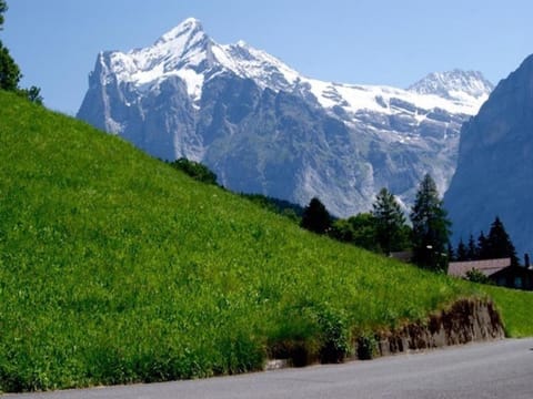 Am Eigen 2 Bett Wohnung Apartment in Grindelwald