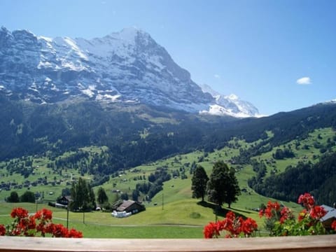 Am Eigen 2 Bett Wohnung Apartment in Grindelwald