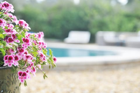 Day, Garden, Garden view, Pool view, Swimming pool