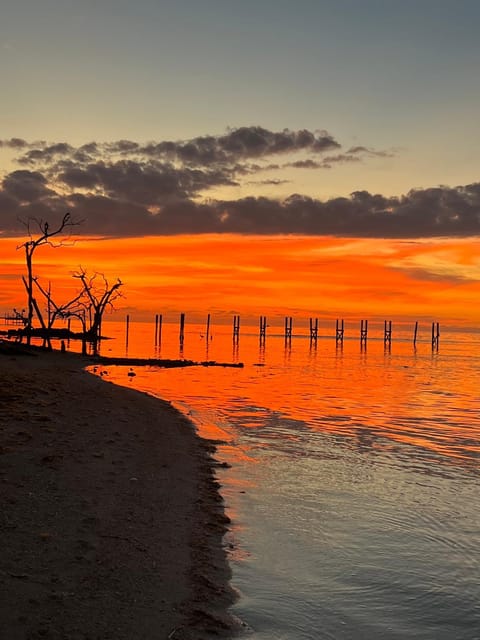 Barnacle Bed and Breakfast Bed and Breakfast in Big Pine Key