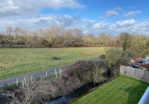 Spring, Day, Neighbourhood, Natural landscape