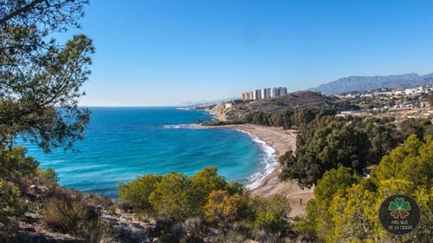 Atico BAY Apartment in Marina Baixa