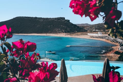 View (from property/room), Pool view, Swimming pool